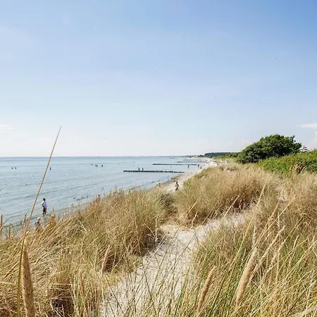 V Borre